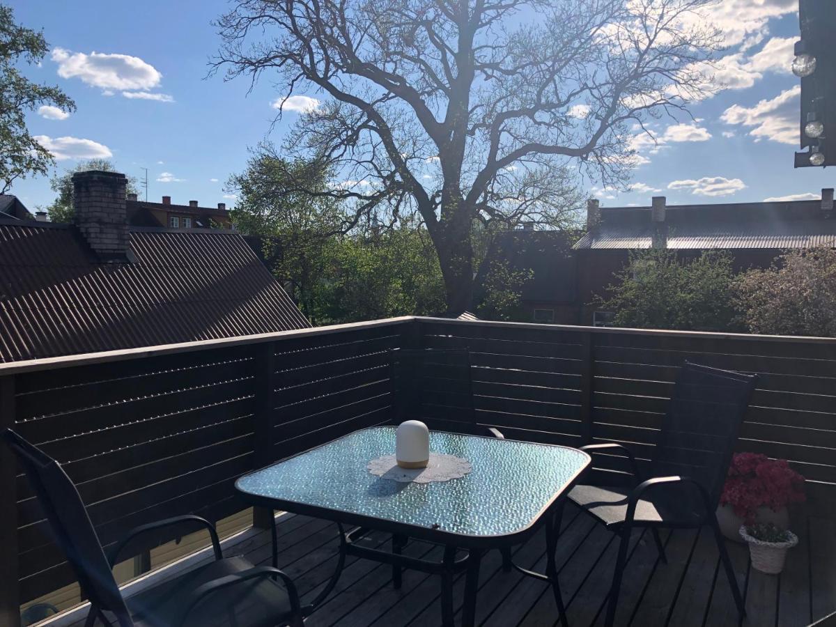 Lille Lux Viljandi (Viljandimaa)